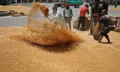 Feed markets will remain closed across Punjab, know the reason