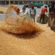 Feed markets will remain closed across Punjab, know the reason