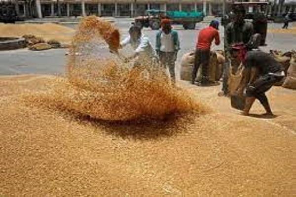 Feed markets will remain closed across Punjab, know the reason