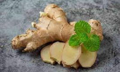 Ginger is not only limited to cold and cough, it can defeat serious diseases, know the benefits