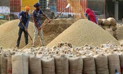 80723 MT procurement of paddy, 34987 MT lifting done - DC Surbhi Malik