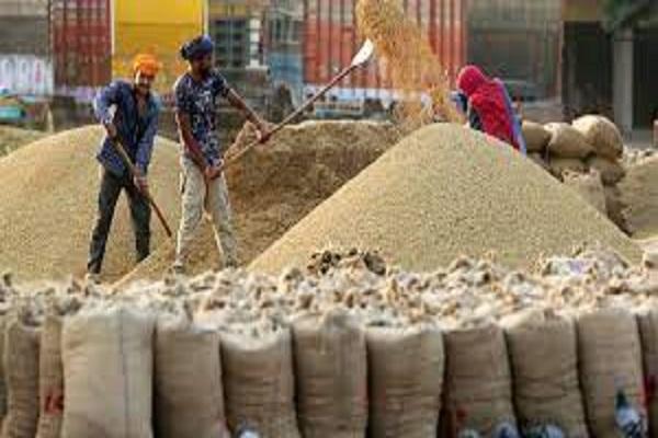 80723 MT procurement of paddy, 34987 MT lifting done - DC Surbhi Malik