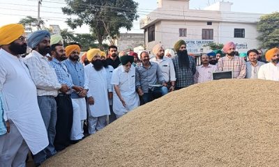 Punjab government committed to buy one grain of produce - Minister of Agriculture Khudians