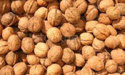 Walnut is very beneficial for the heart, brain and skin, know the benefits of eating it daily