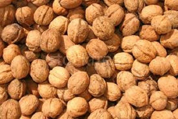 Walnut is very beneficial for the heart, brain and skin, know the benefits of eating it daily